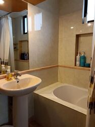 Tanglin Park (D10), Condominium #560918371
